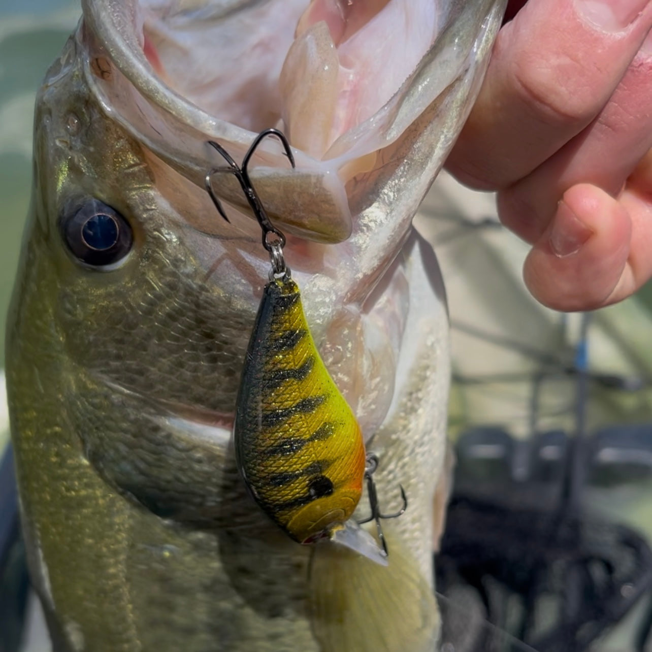 1.5 Crank
