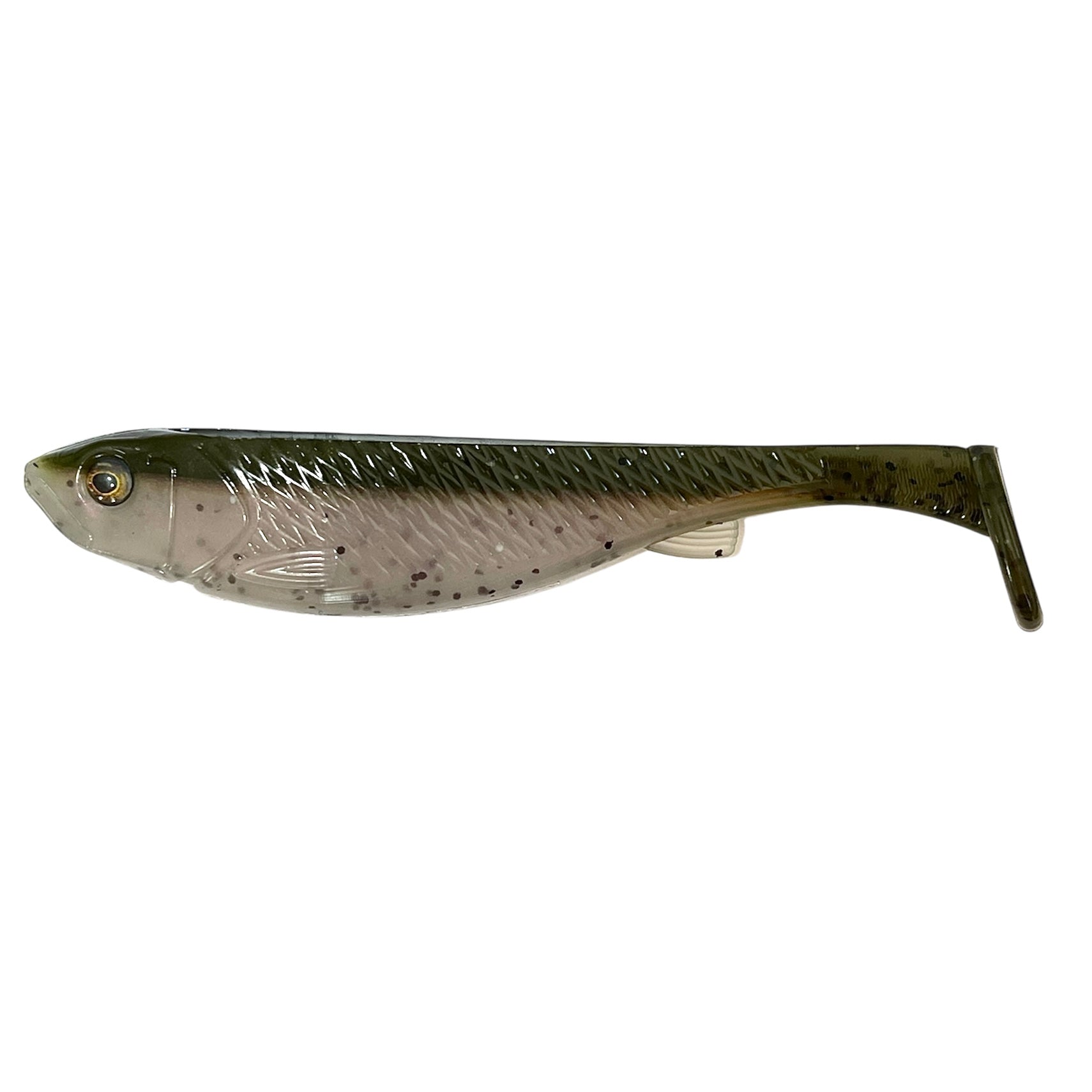 Bassquatch 6 – PNW Bass Candy