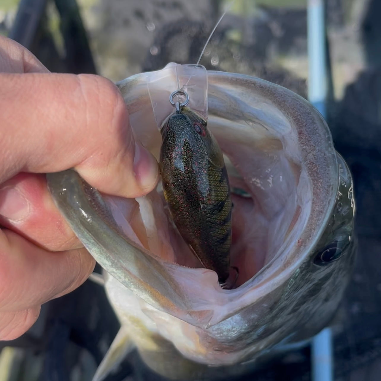 1.5 Crank